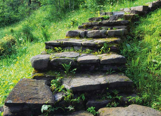 Gartengestaltung2